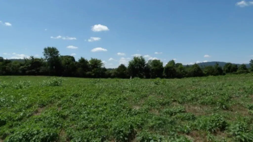 Lot 38 Ranchside Court Rock Island TN 38581