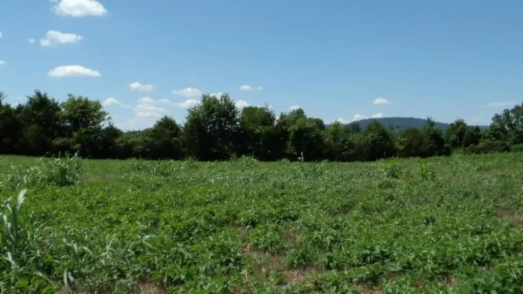 Lot 38 Ranchside Court Rock Island TN 38581