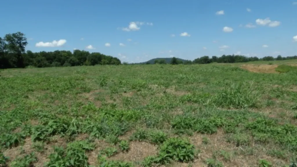 Lot 38 Ranchside Court Rock Island TN 38581