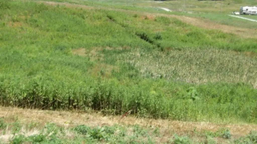 Lot 38 Ranchside Court Rock Island TN 38581