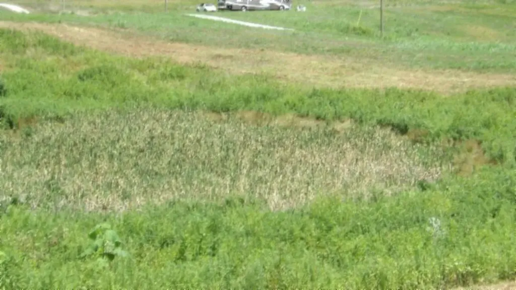 Lot 38 Ranchside Court Rock Island TN 38581