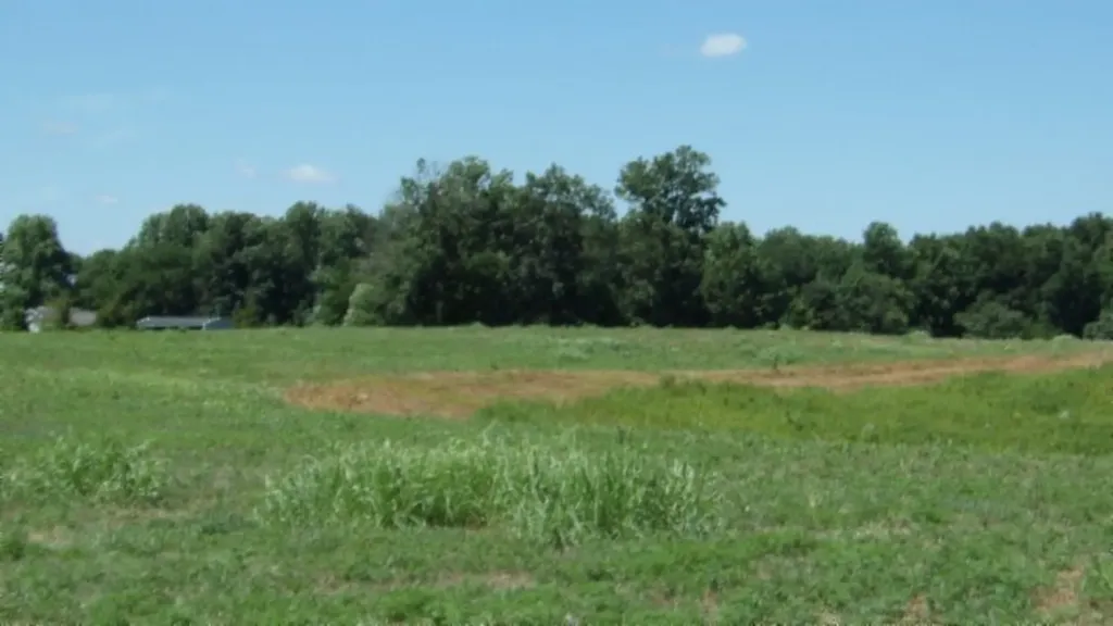 Lot 38 Ranchside Court Rock Island TN 38581