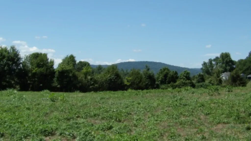 Lot 38 Ranchside Court Rock Island TN 38581