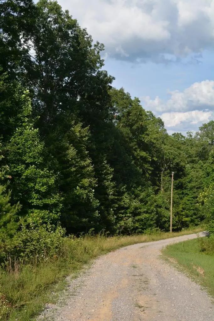 11071 River Drive Crawford TN 38554