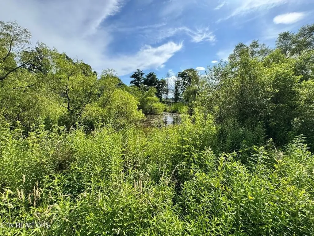 1353 Roy Owens Road Jamestown TN 38556-2411