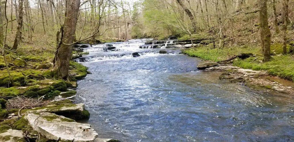 9656 Francis Ferry Rock Island TN 38581