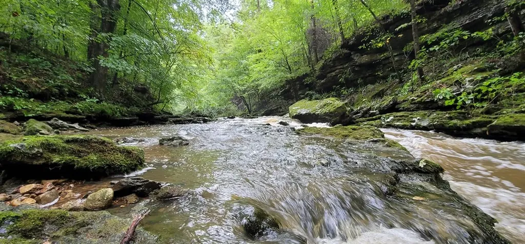 9656 Francis Ferry Rock Island TN 38581