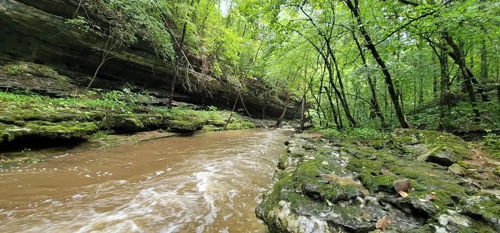 9656 Francis Ferry Rock Island TN 38581