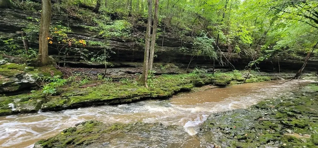 9656 Francis Ferry Rock Island TN 38581