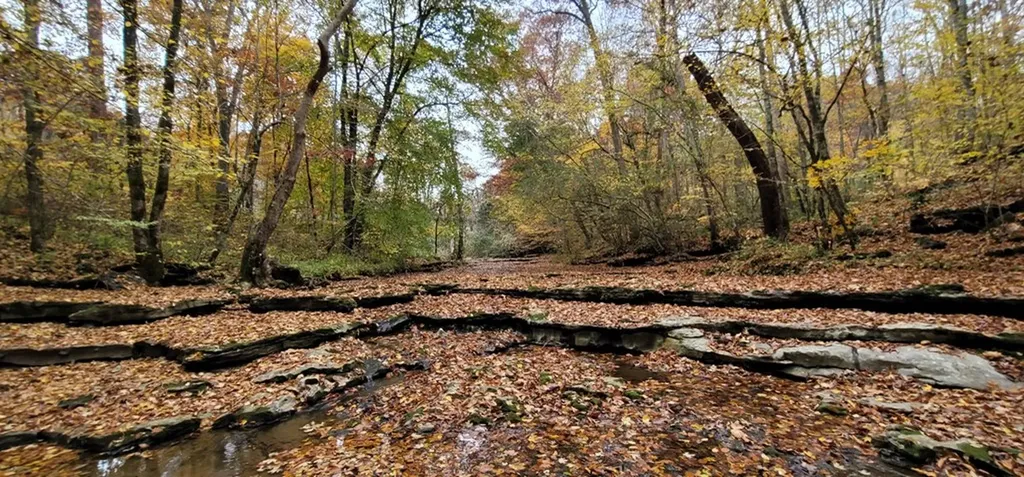 9656 Francis Ferry Rock Island TN 38581