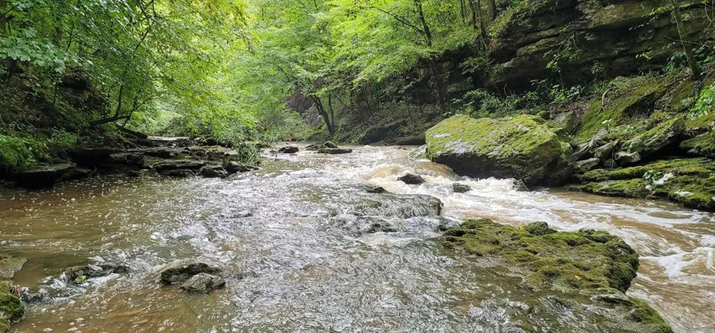 9656 Francis Ferry Rock Island TN 38581