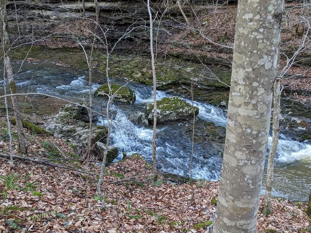 9656 Francis Ferry Rock Island TN 38581