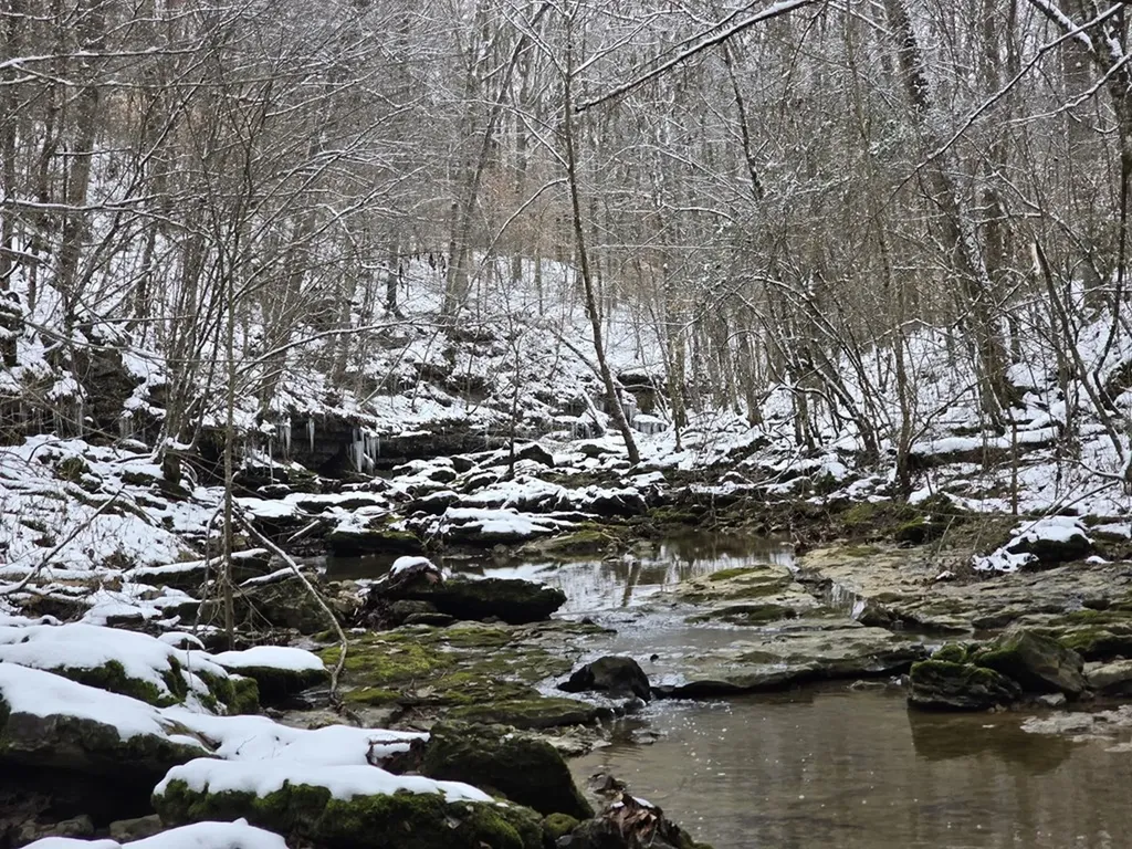 9656 Francis Ferry Rock Island TN 38581