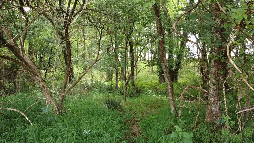 0 Bridle Trail Spencer TN 38585