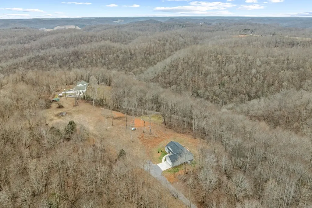 341 Brown Stafford Cemetery Lane Gainesboro TN 38562