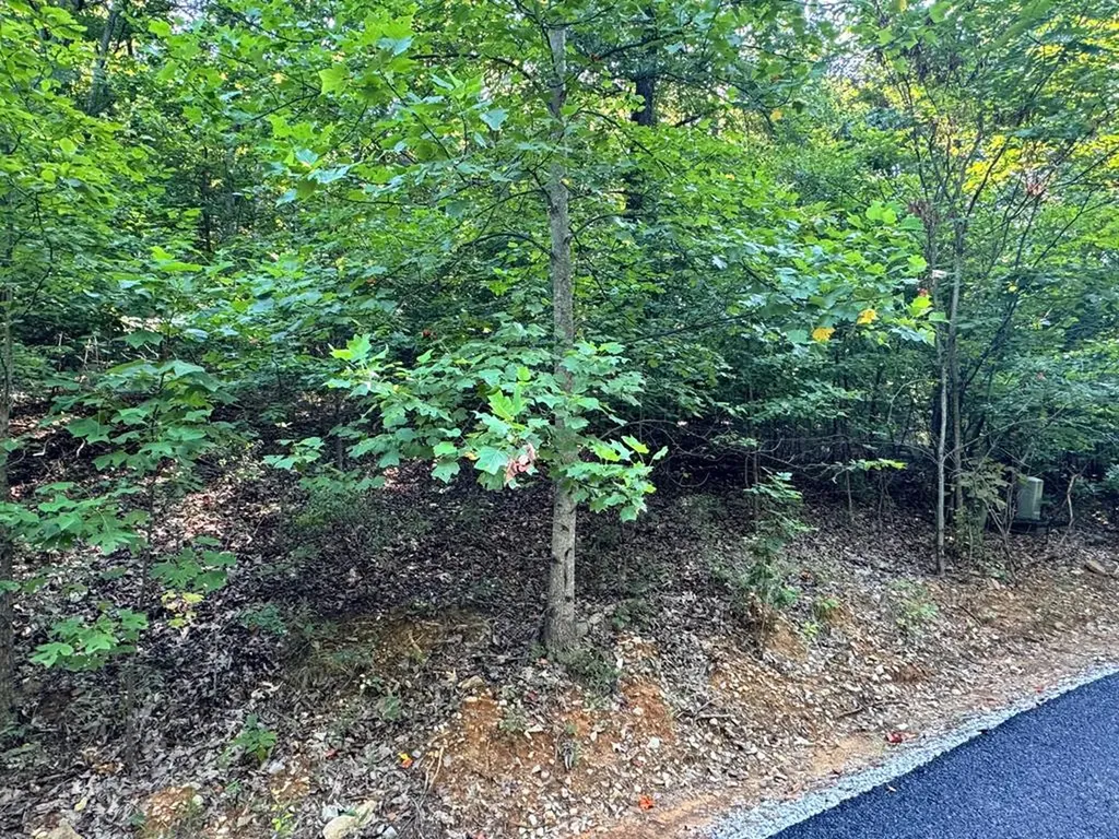 626 North Pointe Trail Allons TN 38541