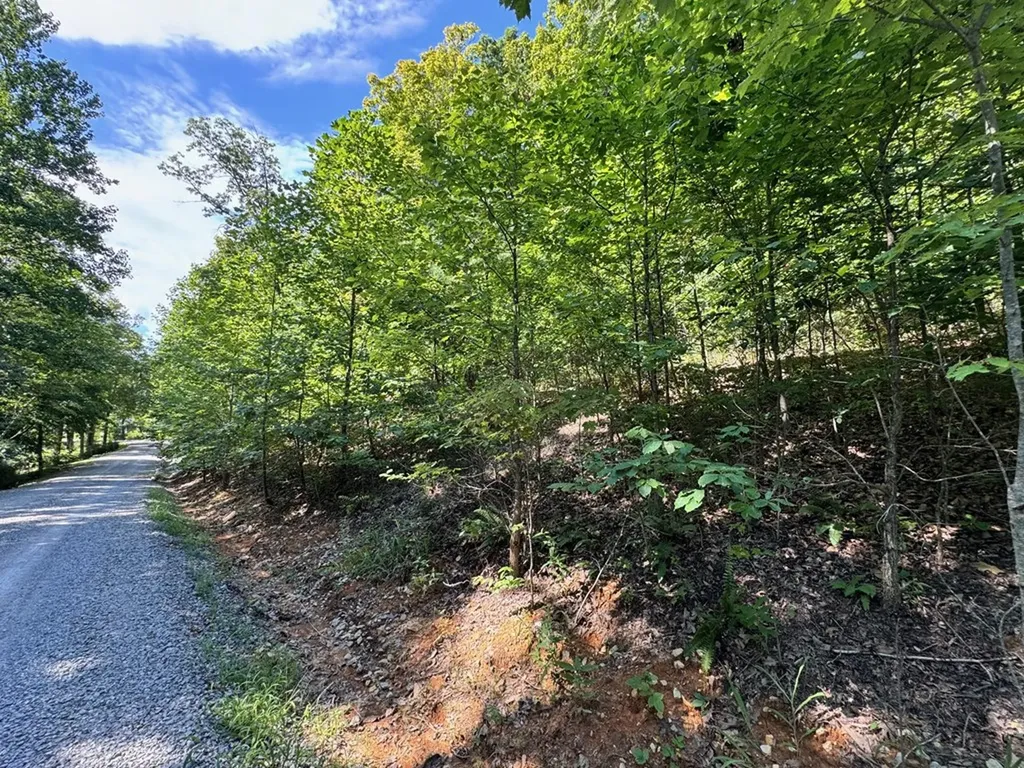 626 North Pointe Trail Allons TN 38541