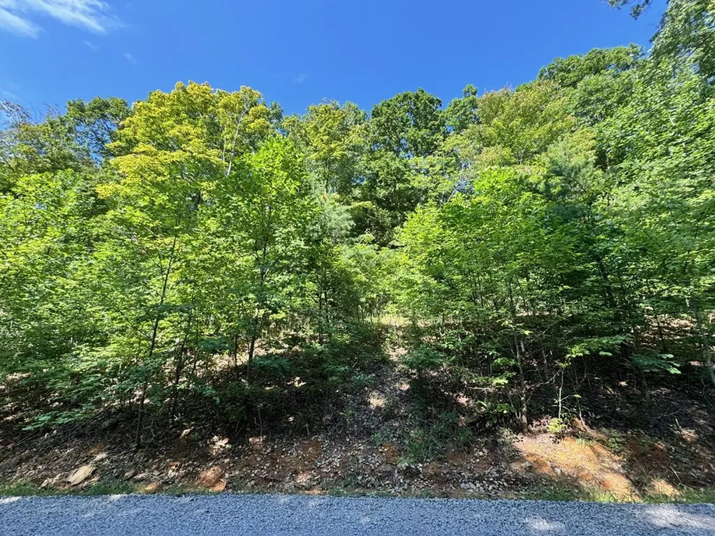 626 North Pointe Trail Allons TN 38541