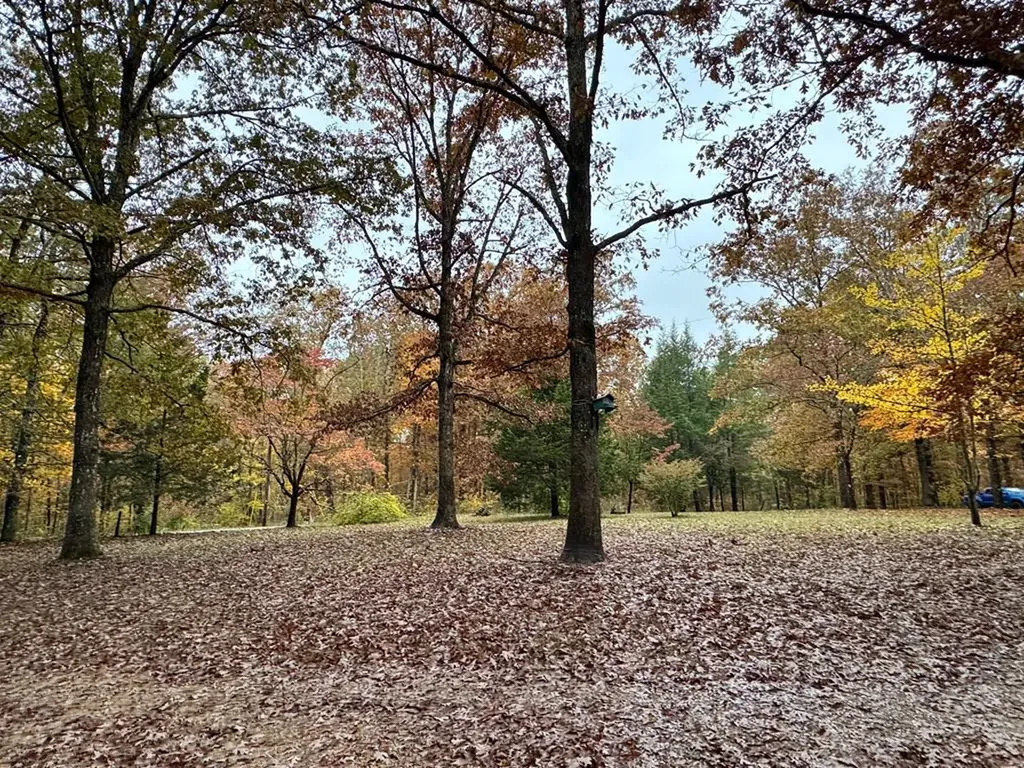 1101 Franklin Loop Clarkrange TN 38553