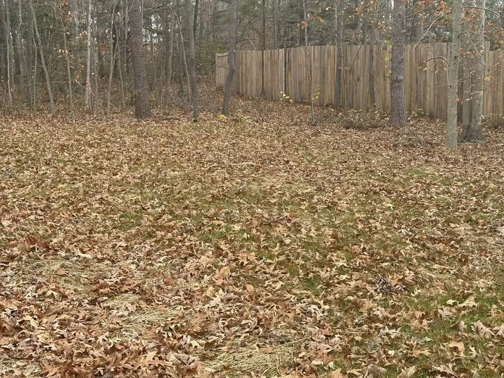 470 Trimmer Lane Jamestown TN 38556