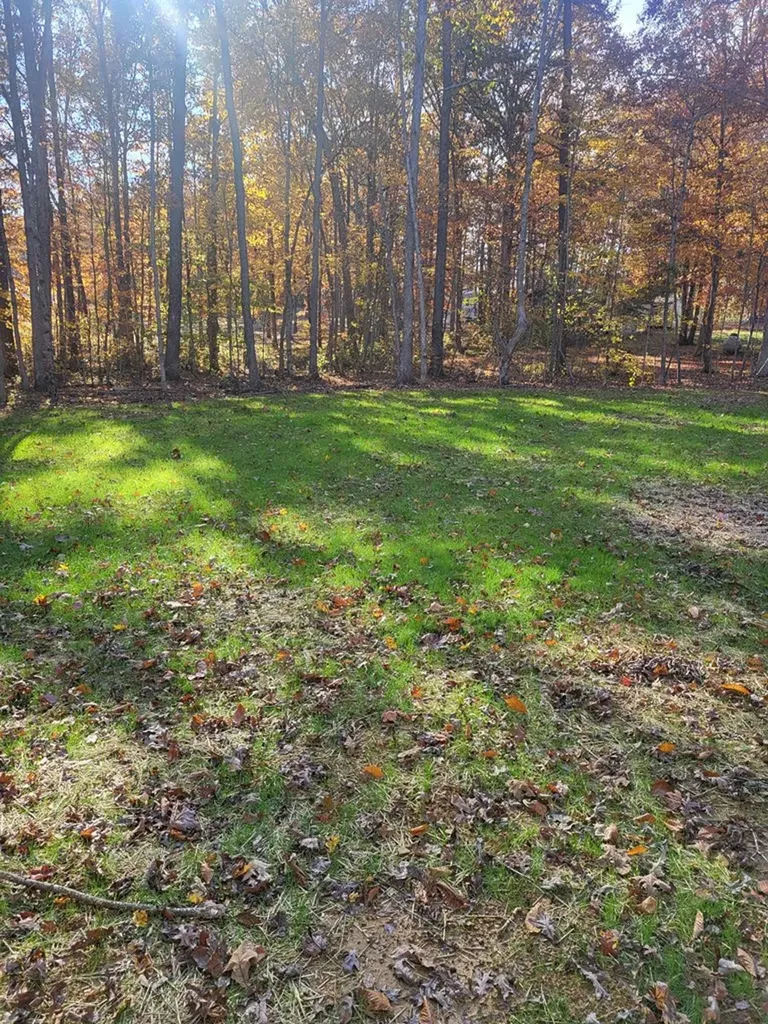 470 Trimmer Lane Jamestown TN 38556