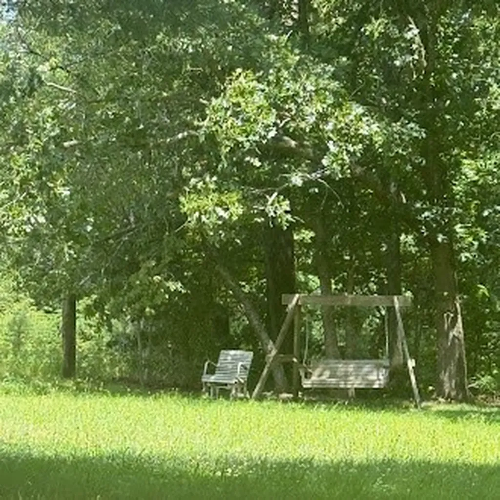 5740 South York Highway Clarkrange TN 38553