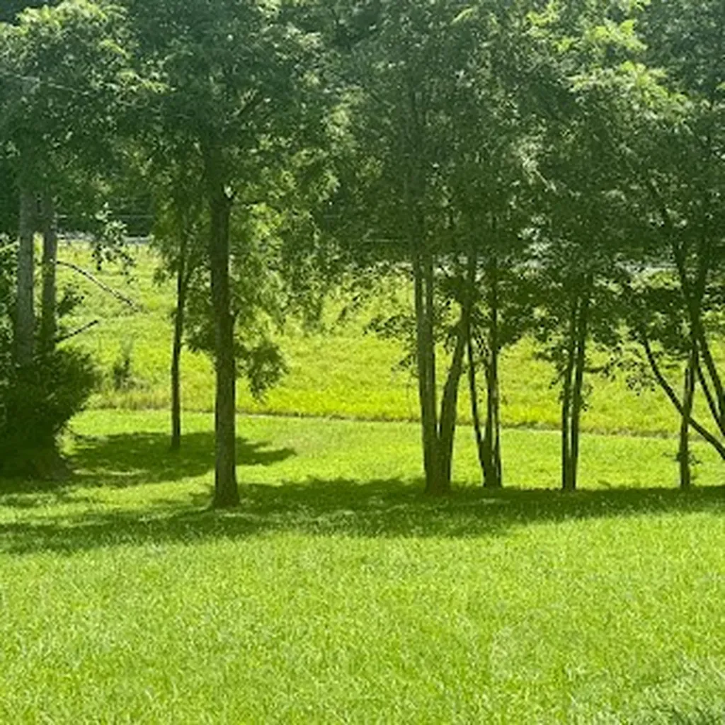 5740 South York Highway Clarkrange TN 38553