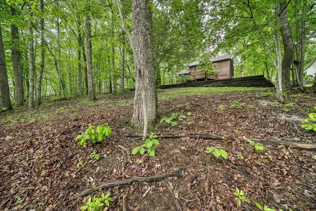 113 Laurel Drive Jamestown TN 38556