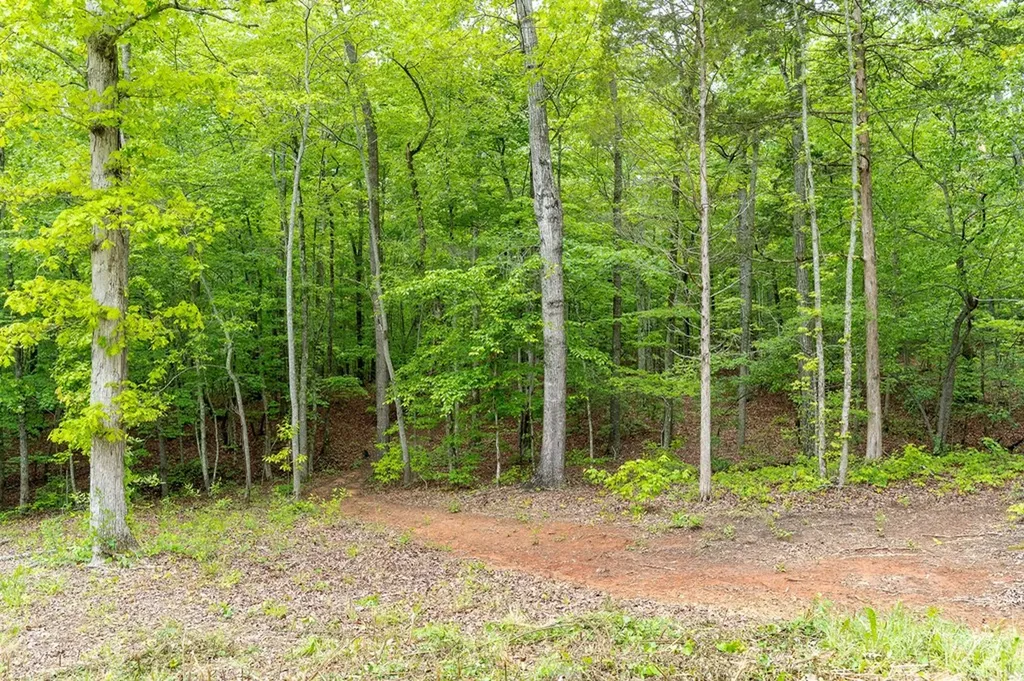 466 S Pin Hook Road Sparta TN 38583