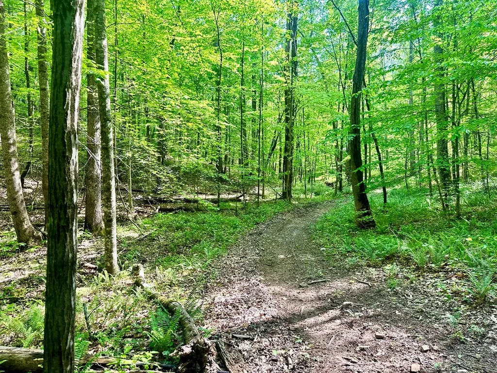 466 S Pin Hook Road Sparta TN 38583