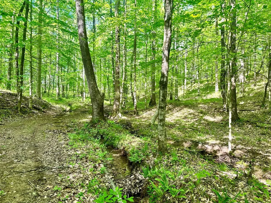 466 S Pin Hook Road Sparta TN 38583