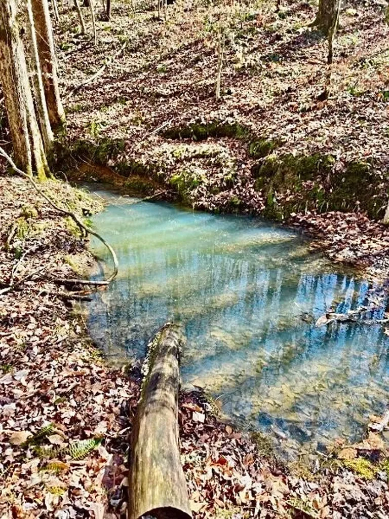 466 S Pin Hook Road Sparta TN 38583