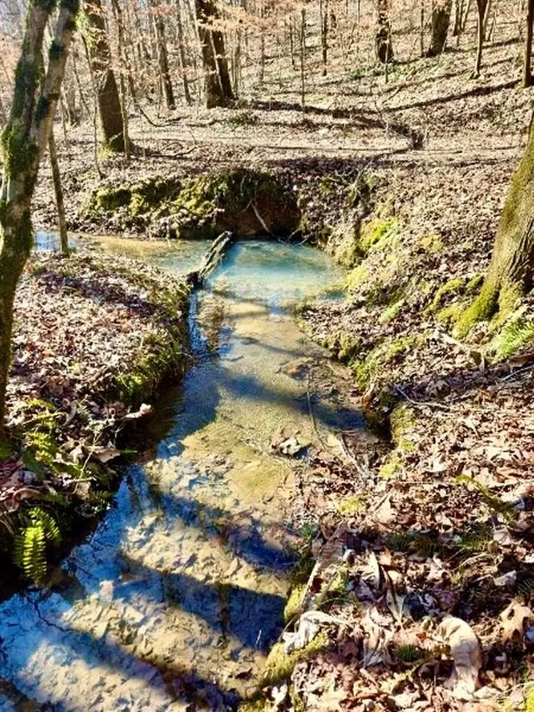 466 S Pin Hook Road Sparta TN 38583