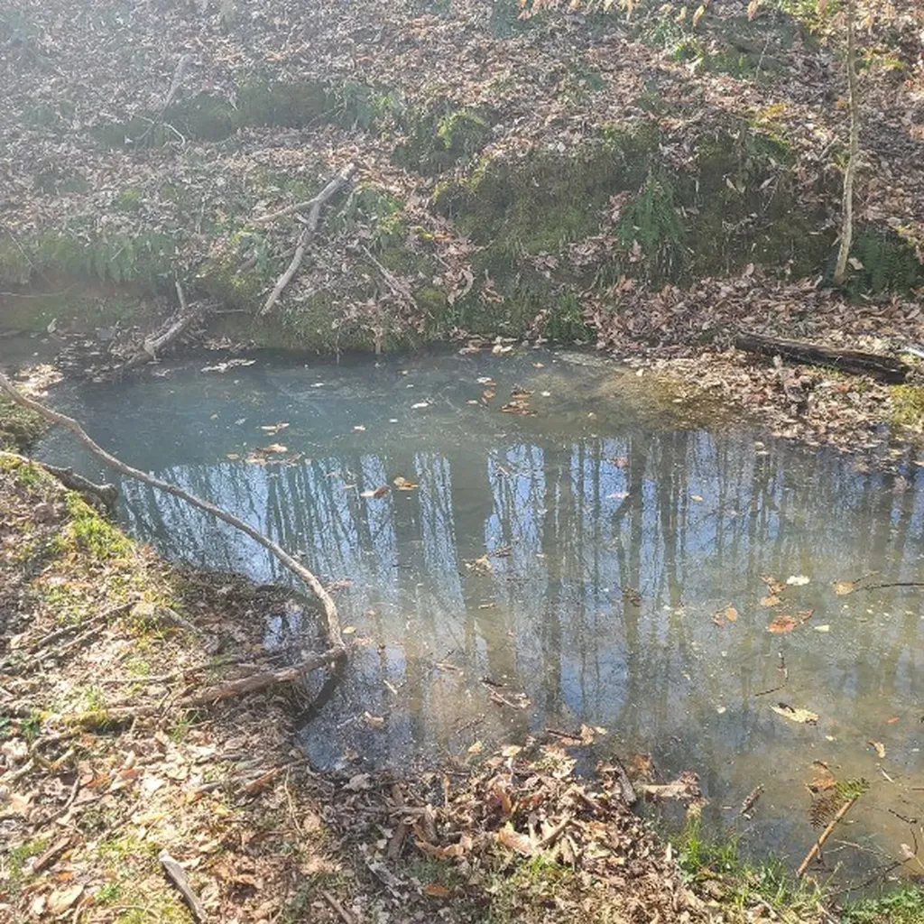 466 S Pin Hook Road Sparta TN 38583