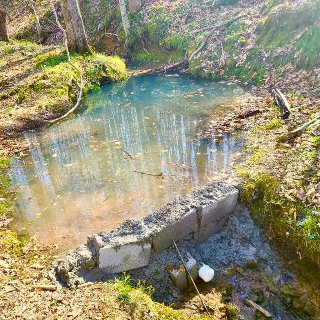 466 S Pin Hook Road Sparta TN 38583