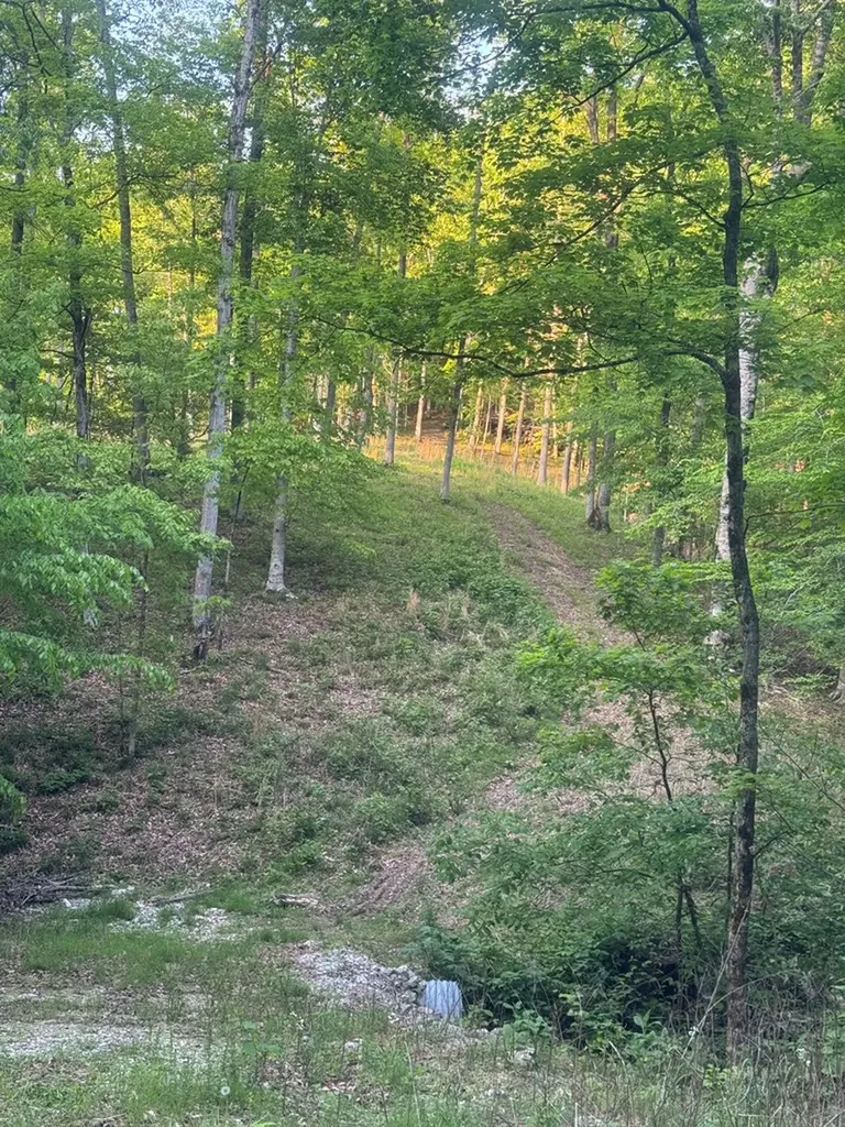 6.96 Star Point Road Byrdstown TN 38549