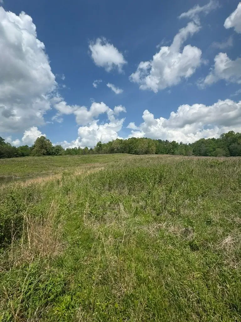 0 Sam Smith Road Allardt TN 38504