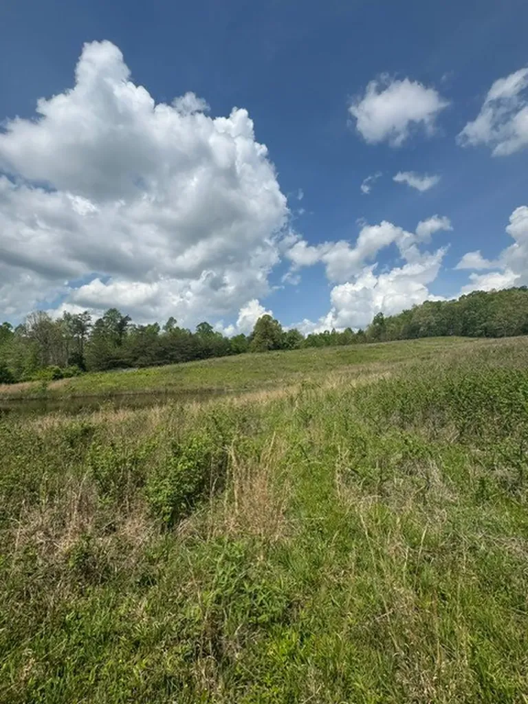 0 Sam Smith Road Allardt TN 38504