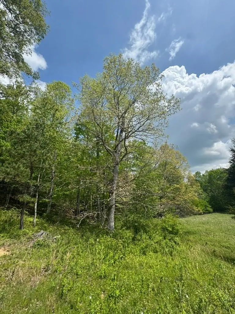 0 Sam Smith Road Allardt TN 38504