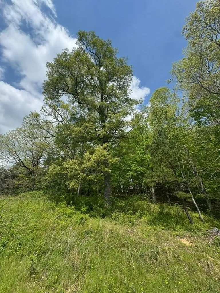 0 Sam Smith Road Allardt TN 38504