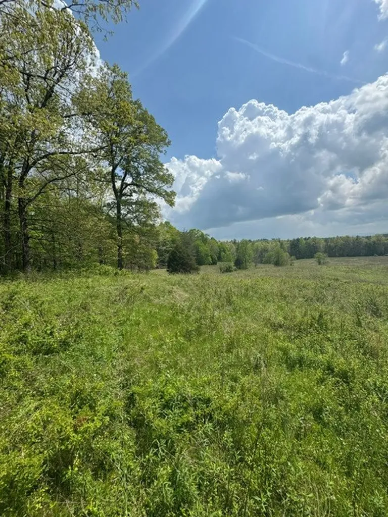 0 Sam Smith Road Allardt TN 38504