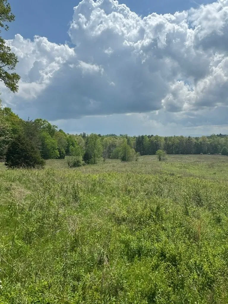 0 Sam Smith Road Allardt TN 38504