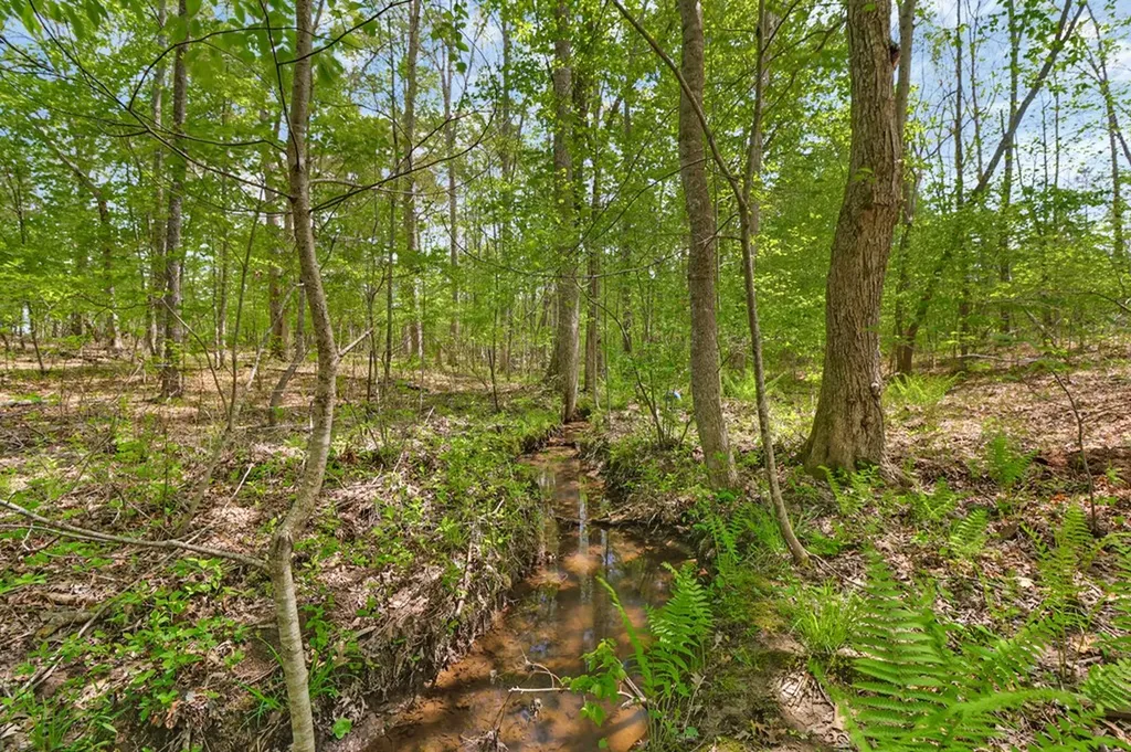 810 Wallace Way Grimsley TN 38565