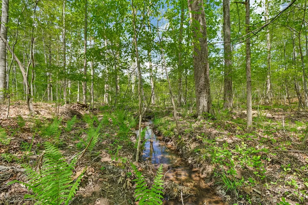 810 Wallace Way Grimsley TN 38565