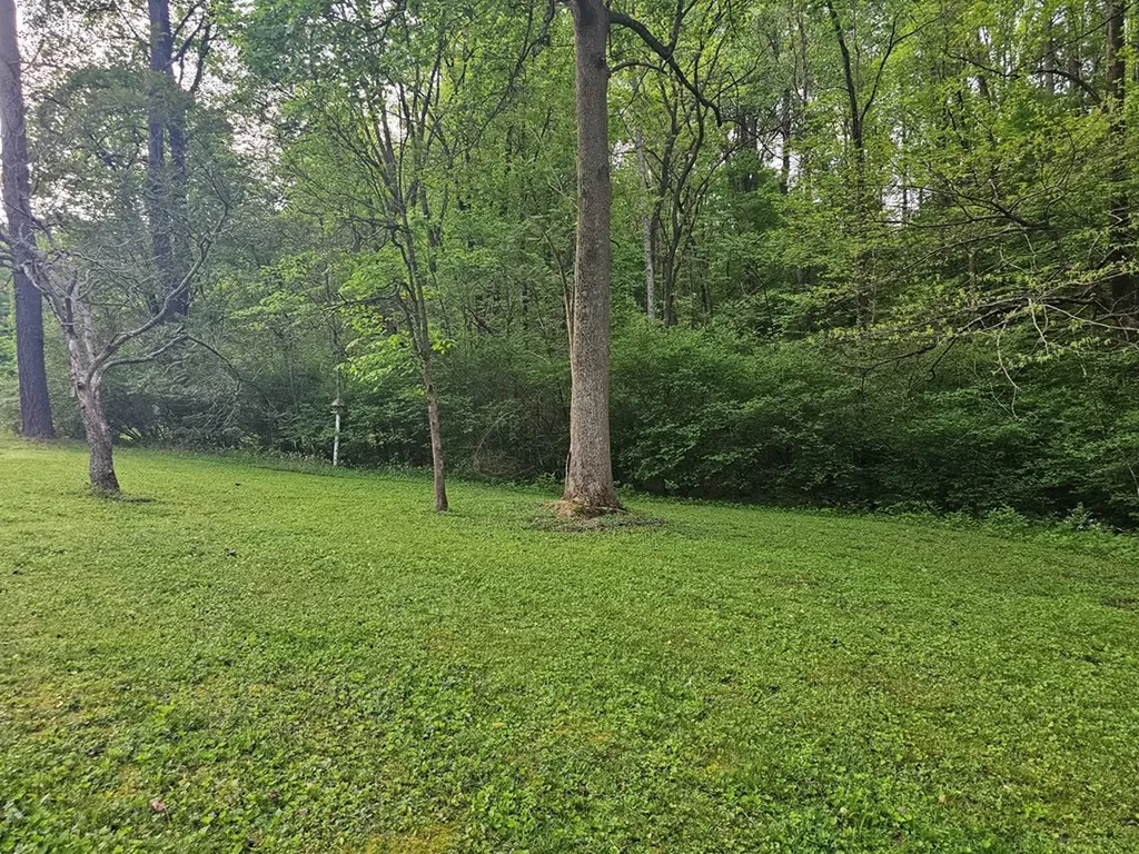 3539 Pinewood Drive Cookeville TN 38501