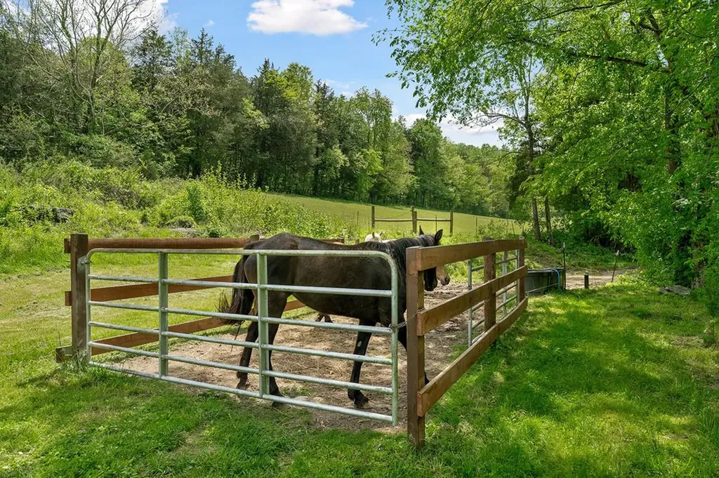 14436 Indian Springs Road Buffalo Valley TN 38548