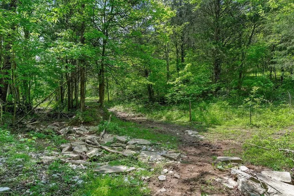 14436 Indian Springs Road Buffalo Valley TN 38548