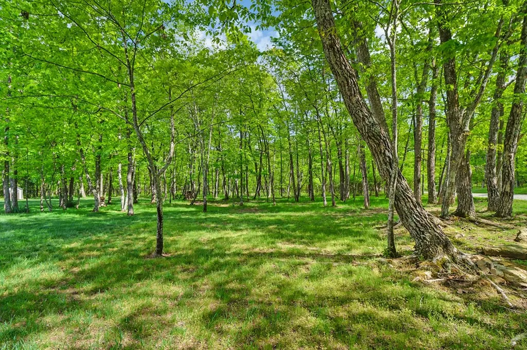 101 Berlingwood Lane Crossville TN 38558