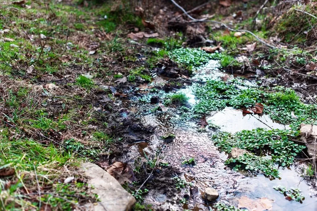 899 Messenger Road Sparta TN 38583