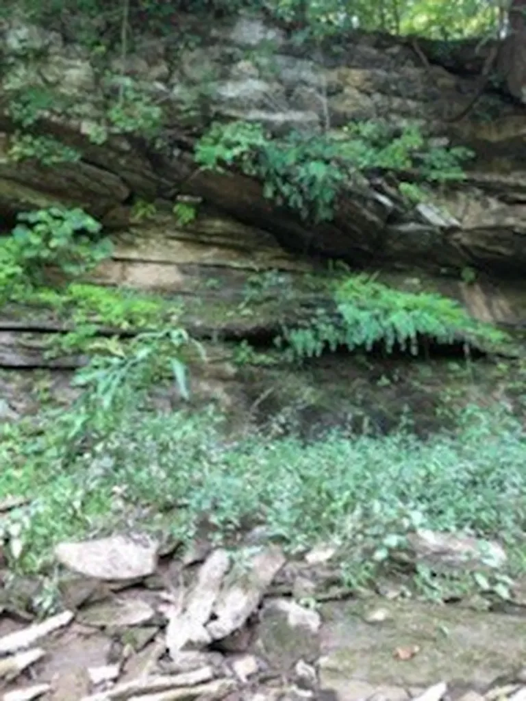 899 Messenger Road Sparta TN 38583